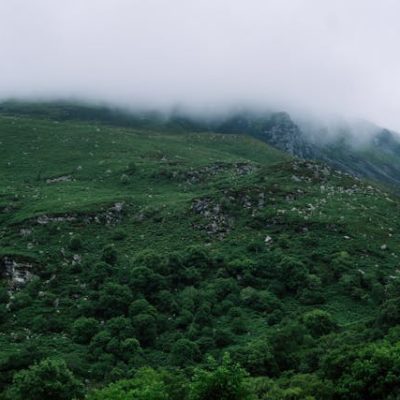 pexels-atelierbyvineeth-35992998