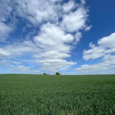 pexels-benprater-36569184 (1)