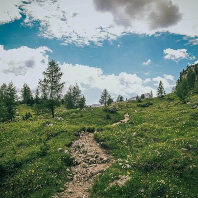 pexels-lorenza-magnaghi-660554185-36417530 (2) (1)